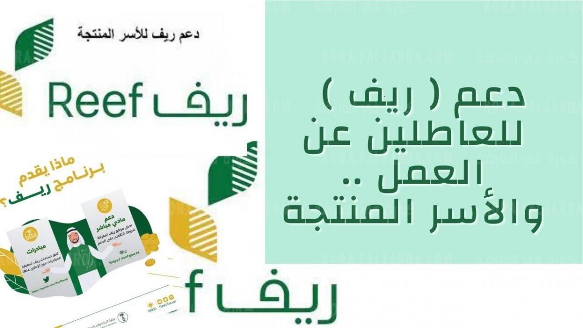 1635057173_201_d8aad982d8afd98ad985-d8afd8b9d985-d8a8d8b1d986d8a7d985d8ac-reef-1443 تقديم دعم برنامج Reef 1443