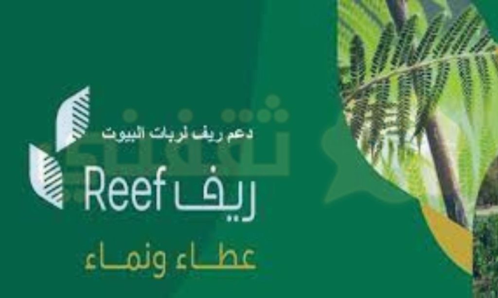 Reef دعم