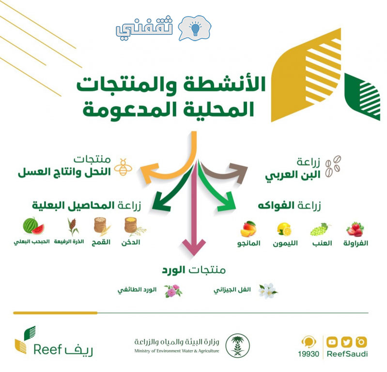 1635905863_827_d8a8d8b1d986d8a7d985d8ac-reef-d88c-d8b4d8b1d988d8b7-d8b3d987d984d8a9-d988d8aad8b3d8acd98ad984-d8b3d987d984-d981d98a-reef-d984d984d8add8b5d988d984 برنامج Reef ، الشروط السهلة ومرفق تسجيل الشعاب المرجانية للحصول على دعم مجاني