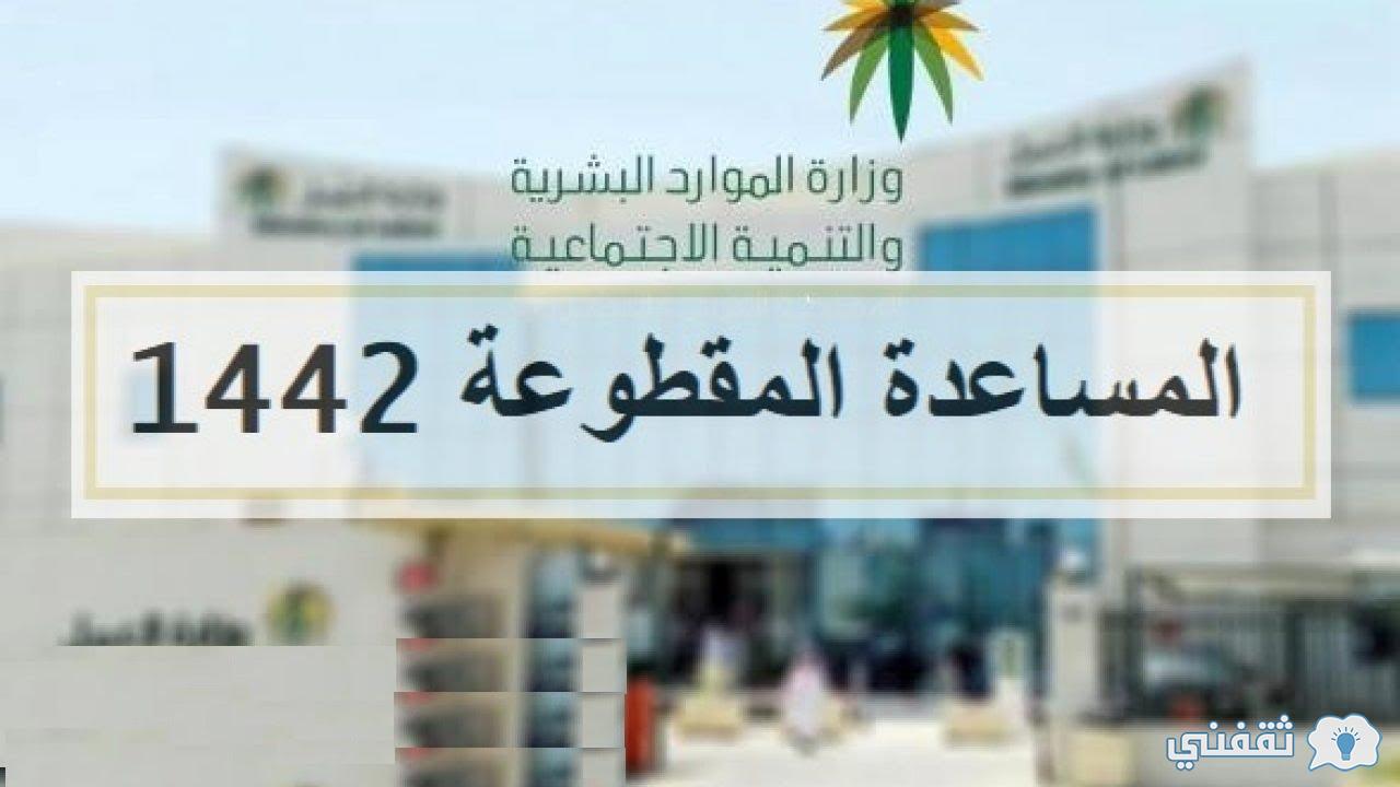 1635908931_384_d8b1d8a7d8a8d8b7-d985d8a8d8a7d8b4d8b1-d8aad8b9d8b1d981-d8b9d984d989-d8aad8a7d8b1d98ad8ae-d8a7d986d8aad987d8a7d8a1-d8a7d984d8b6d985d8a7d986-d8a7d984d8a7d8acd8aad985d8a7d8b9d98a-1442-d8a8 تاريخ انتهاء الضمان الاجتماعي