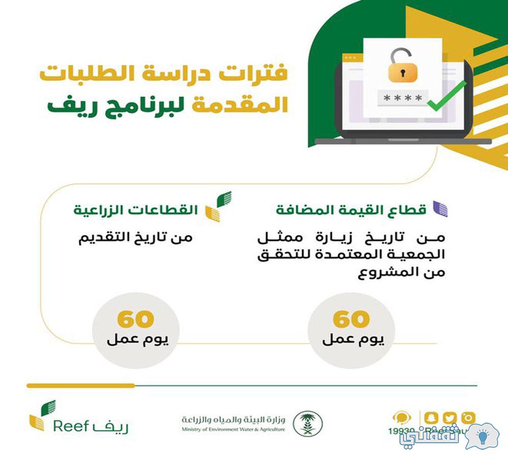 متى سيتم إصدار دعم Reef بعد التسجيل؟