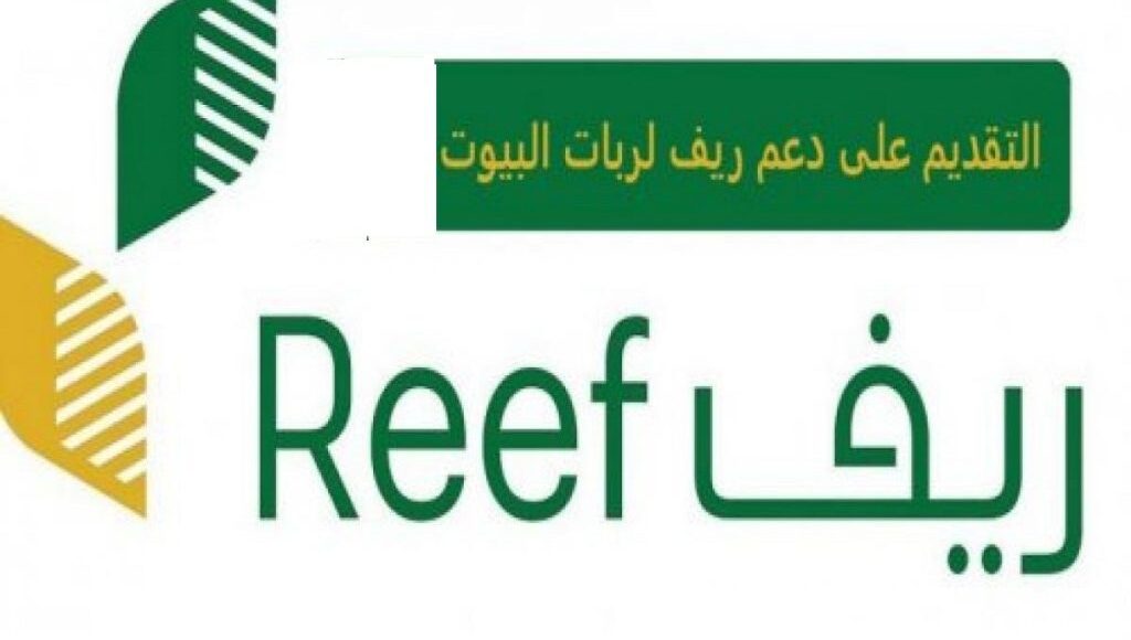 Sa reef.gov REEF